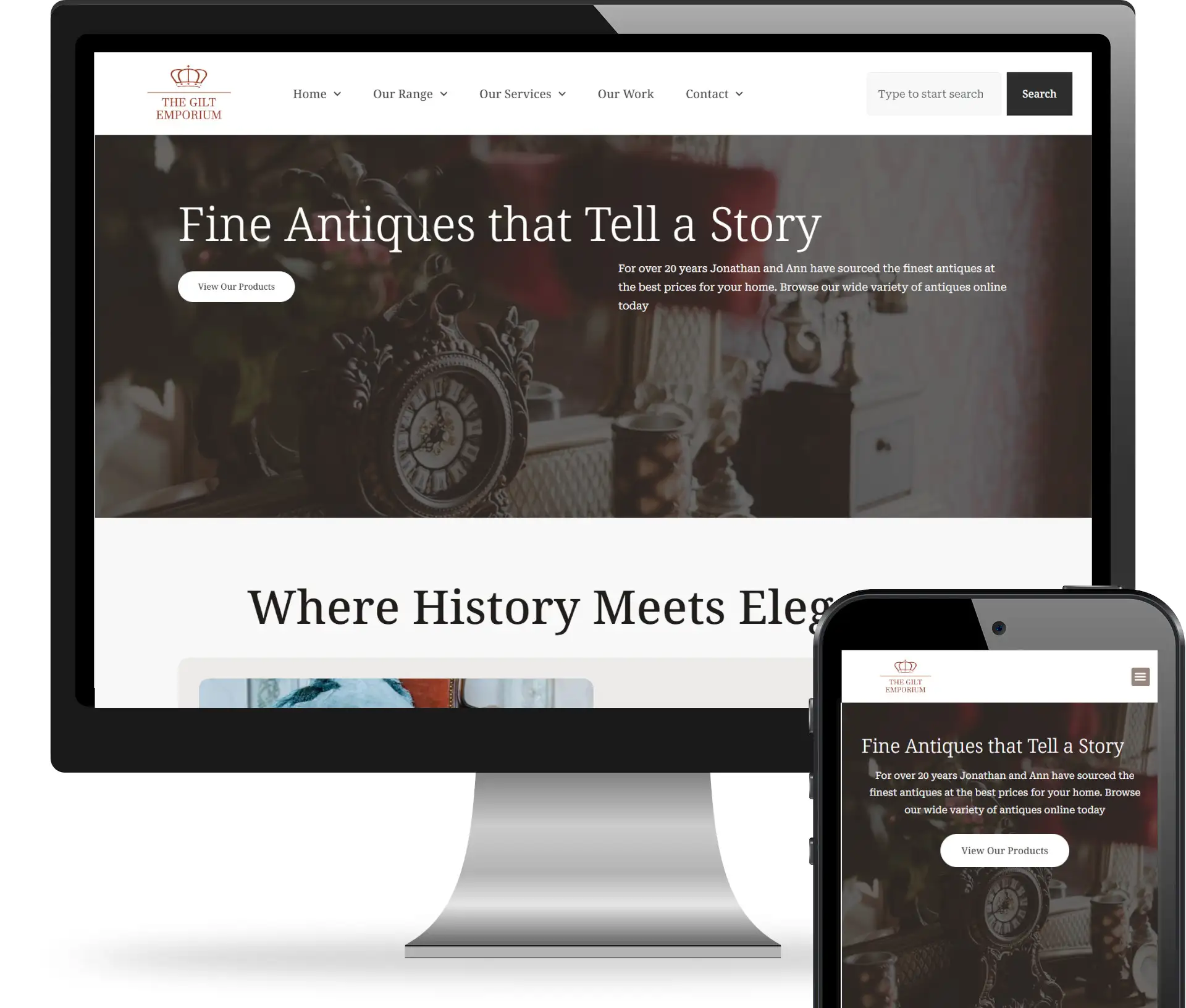 Screenshot for Ecommerce Website Design